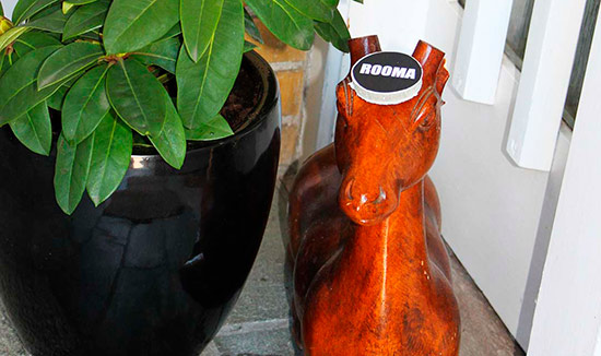 ROOMA's Mascot